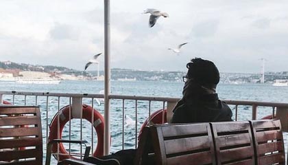 台湾IP涌入《没出息》评论区：我在台湾我要回家