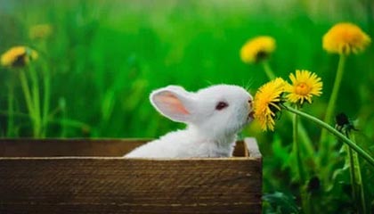 荷兰欧盟轮番上阵，苦口婆心劝了2小时，中方态度早已明确，给欧洲提了个醒，敢玩火后果自负！